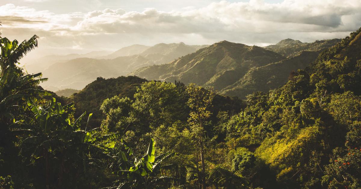 Yauco West Region Discover Puerto Rico